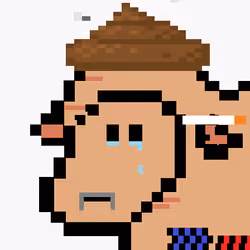 85122147178286775882516028388323701515228575826095020301917028729824246497281