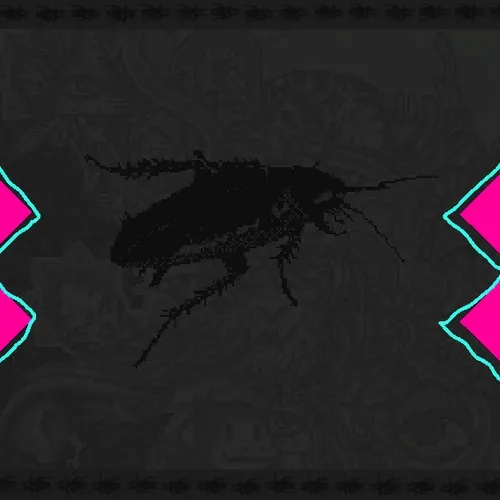 0xnirapass
