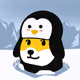 Northpole Doge