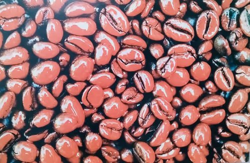 Item #39425846421802280996231740338929997167545085552399292352466571961490391171073 Media