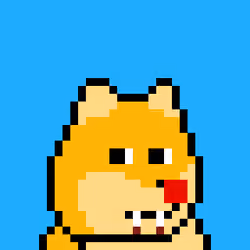 Dooggie #6737