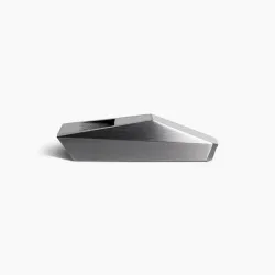 Tesla Cyberwhistle Limited Edition (Pushed by Elon Musk)