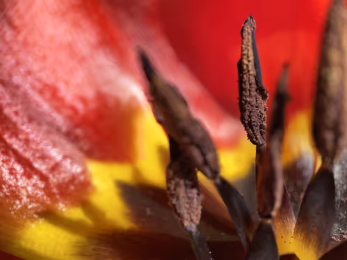 Item #101798116254510798330486236990451841615541533753866395116378150707007158484993 Media