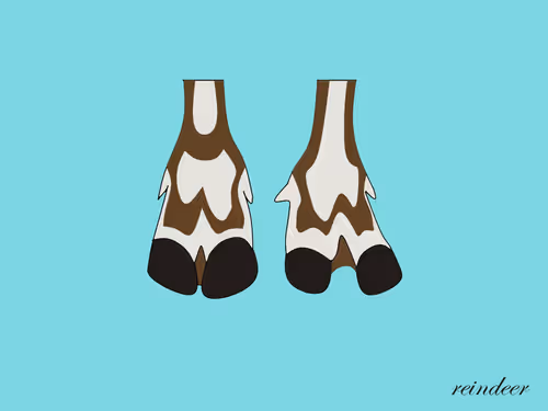 Item #24843950328459654647592333095373915695654115129450378637534313016727296802817 Media