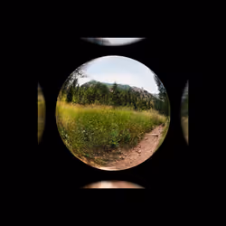 79686203152266121205828546412768747046883568700953071774842845410444911312897