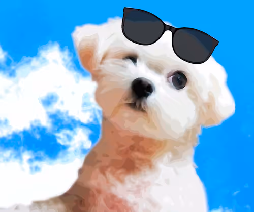 Item #21477548388787063266658748687199700189937005018840532589754440257879435902977 Media