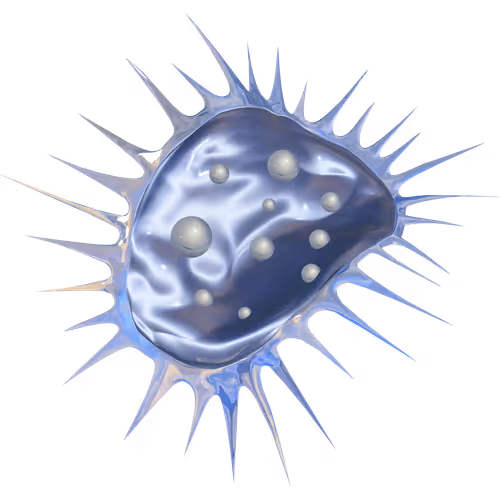 Item #34652949284347632822085905182730305137085110500994082201086763894562149629953 Media