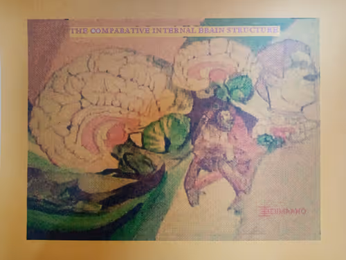 Item #91419314110800337009204889244420491545842303505927805999053350480124487763616 Media