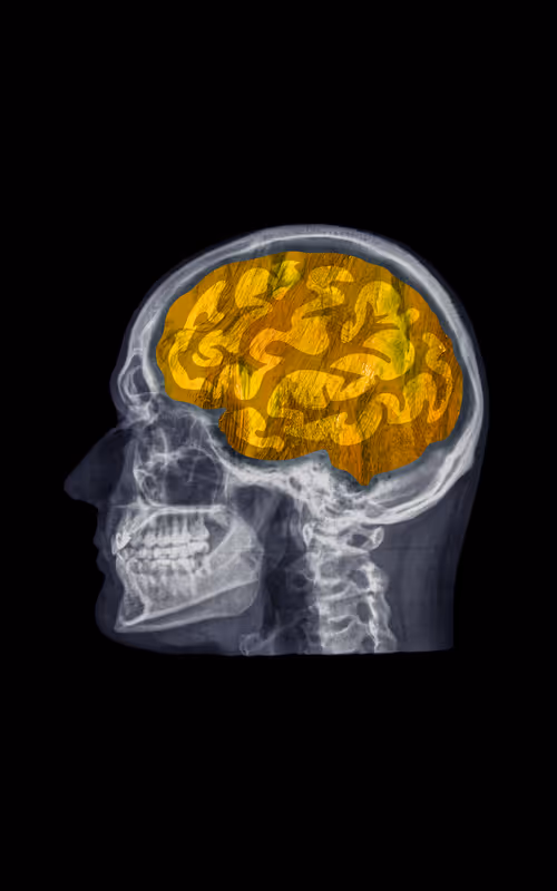 Item #24230885534779484670501703553684953274983737514794072512407783991752188231690 Media