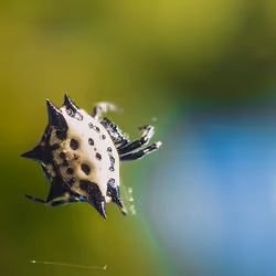 105090597216655980557633683149084672751347825439893935605656298058403259875329