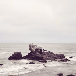On the rocks 