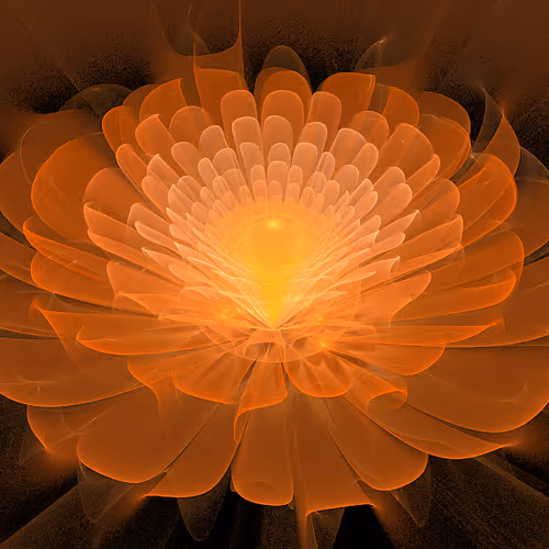 Digiflowers1