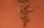 62135269586375031096739731764708550607803972994222766898320167879252455288625