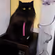 23969464018627752114134696785312923399301062758819844506382933030396105850881