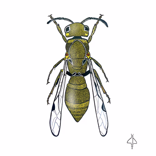 Item #15801673652802308372577505787352629385754574034337411443350541115995455489 Media