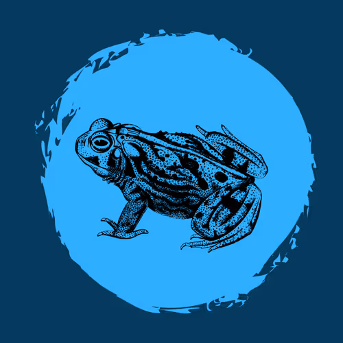 79067907305230177002014129353343413869651970885450883453575323039551478300673