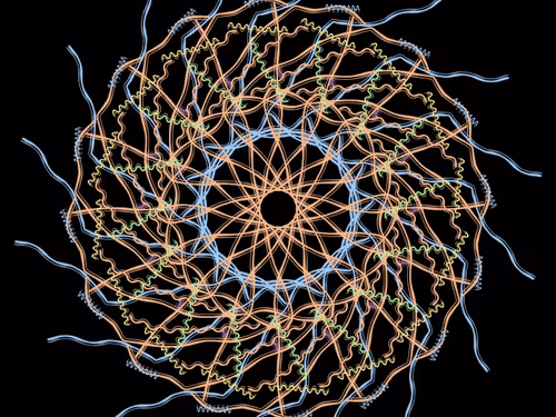 Item #88578266495960054087639387127985656807746726671874423354898244575513098059777 Media