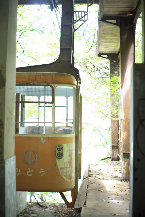 Item #29338470736162432658503928351875651882775793096611779186830202201334676979713 Media