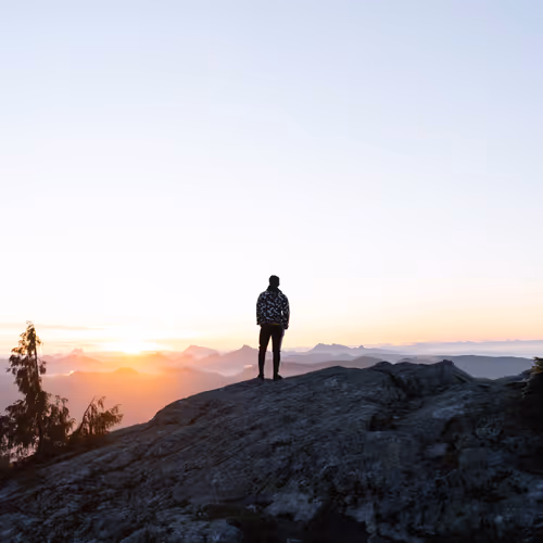 turntasian Collection