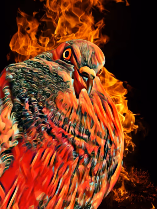 Item #8611177212973406975637787311467685402207376623163261380943492157645275529217 Media