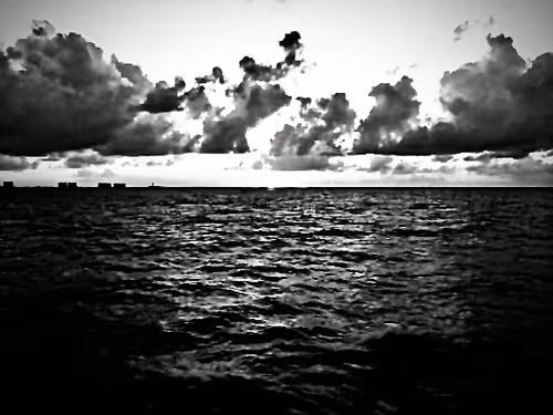 Item #19841423673673061120678522492980359232702795421164906781459419152597347467265 Media