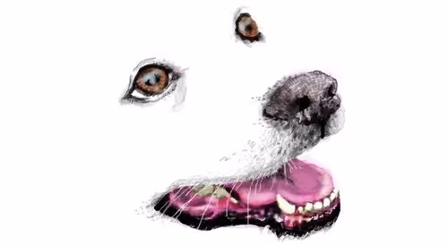 Item #234449613376242520670736673270642042894031597378204756067995392264544190465 Media