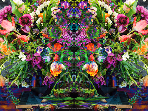 Item #115777998595893665994444239990527876334103377557148564688795026437468428697601 Media