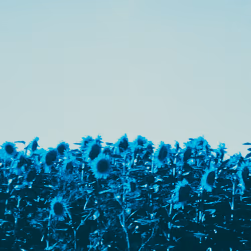 Item #53971900352165133628402345628134757664238077359339048076666960105962714693633 Media