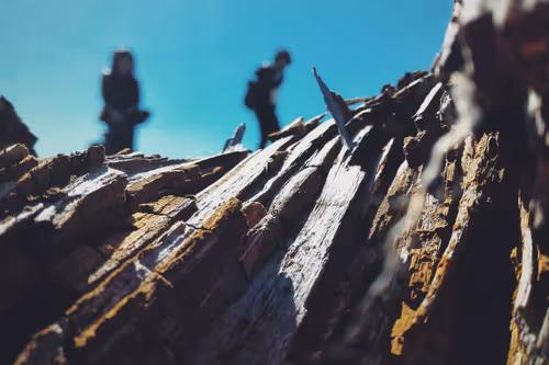 Item #62926577219448283413522388314720295785466049618898936279176375669400518262785 Media