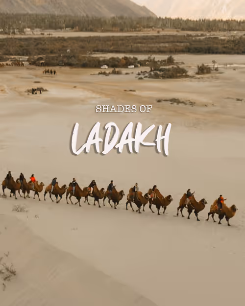 Item #76182420435474433030175106925333141340122143524658153810664851676969079668737 Media