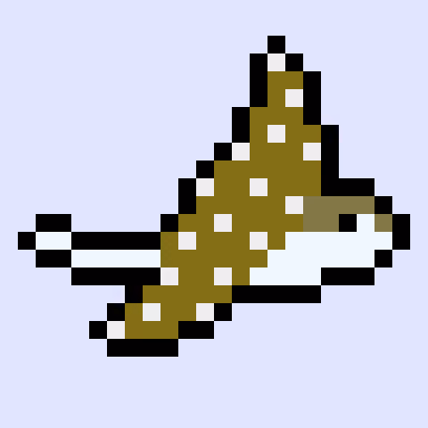 Item #62569826950223750450221763914933914495914041384502989202266603124057366855681 Media