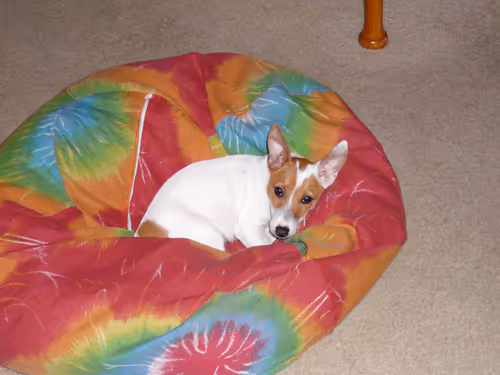 Item #5985210497355107417265215381210579199842884272282595265964883360532911882241 Media