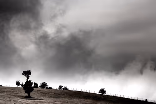 Item #54047435353604070609203738592143404412748922024191880887659997864995611213844 Media