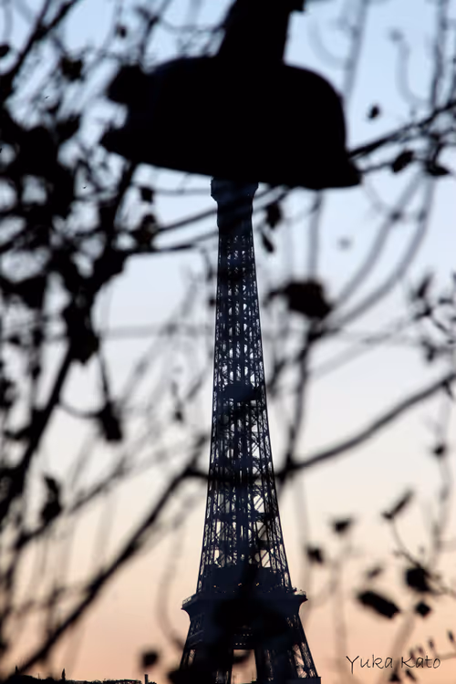 Item #111326101478107214990251795731047965840392207690526379209547236977389110034433 Media