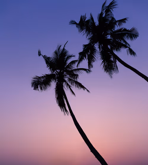 Item #58809729658004785625766705762406371743224030707088339904419797663818088185857 Media