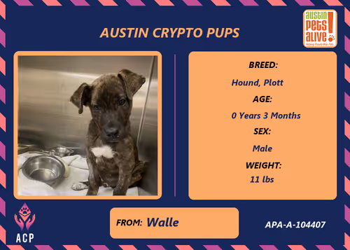 Item #17951378556605612276483806045649535824451571419947225201384628567826594004993 Media