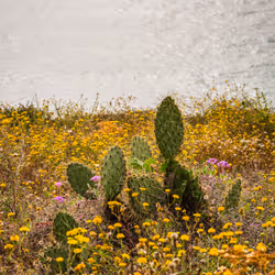 2560167528831681655449026720249695031072996054742885035460294058656493731841