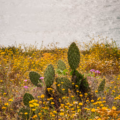 2560167528831681655449026720249695031072996054742885035460294058656493731841