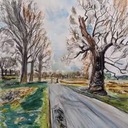 Ancient Oak tree by road, Richmond Park, March 23