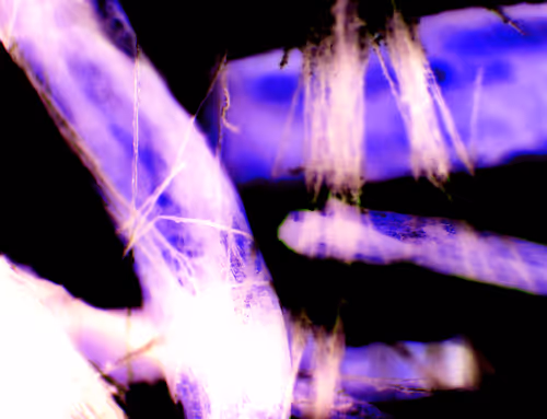 Item #71646257518770613568983710813551014237803002136866425209291833929537052213249 Media