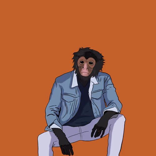 Black Spider Monkey #80