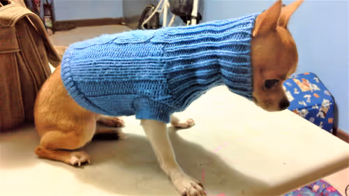 Item #15302775719274355672256911249162138837258661550744590229590932592092946366465 Media