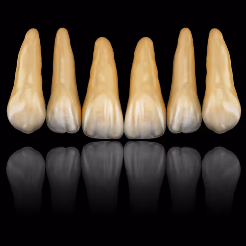 Item #62232289940205459480907166310422704462499916562185049757007232022530597322753 Media