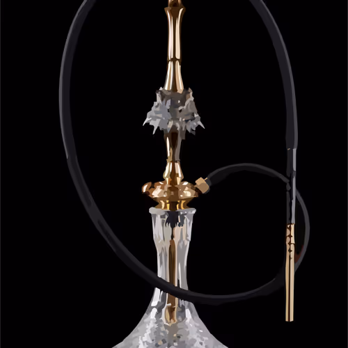 Hookah ragon