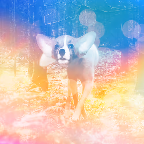 109973185304335295389295967702690498050440437764202445007733630593453663453185