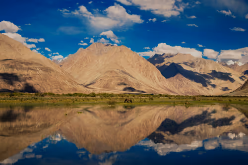 Item #70651564434180574556294947665186140658635151001431395865456628547600299065345 Media