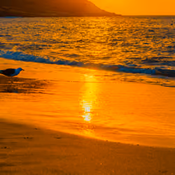 Sun and Sea #9