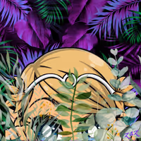 Zazaz7 Collection