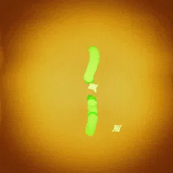 25072605945551226028680613472878057425564923415902353249075002390442349166593