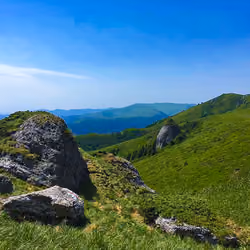 Meadow on the Mountain 